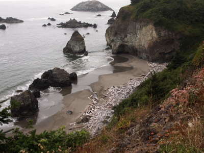 [A low tide view of a number of rocks only a few hundred yards from the shore (and would be visible in both low and high tide) and a sand beach with a large expanse of sea logs piled on it. This beach is enclosed on three sides by the surrounding rocky hillside.]